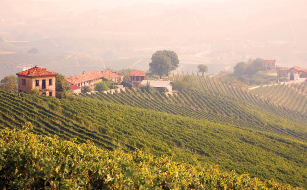 italy wine tour